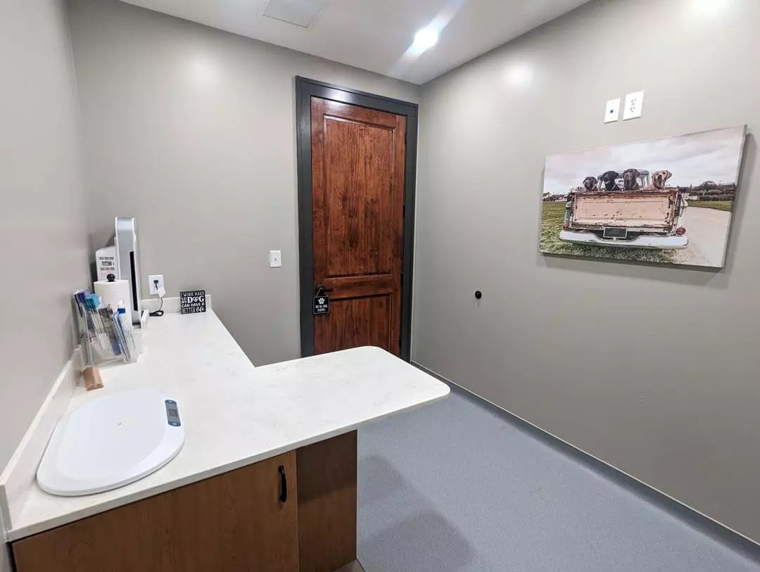 Tour Our Veterinary Clinic in Lewisville, NC Shallowford Animal Hospital