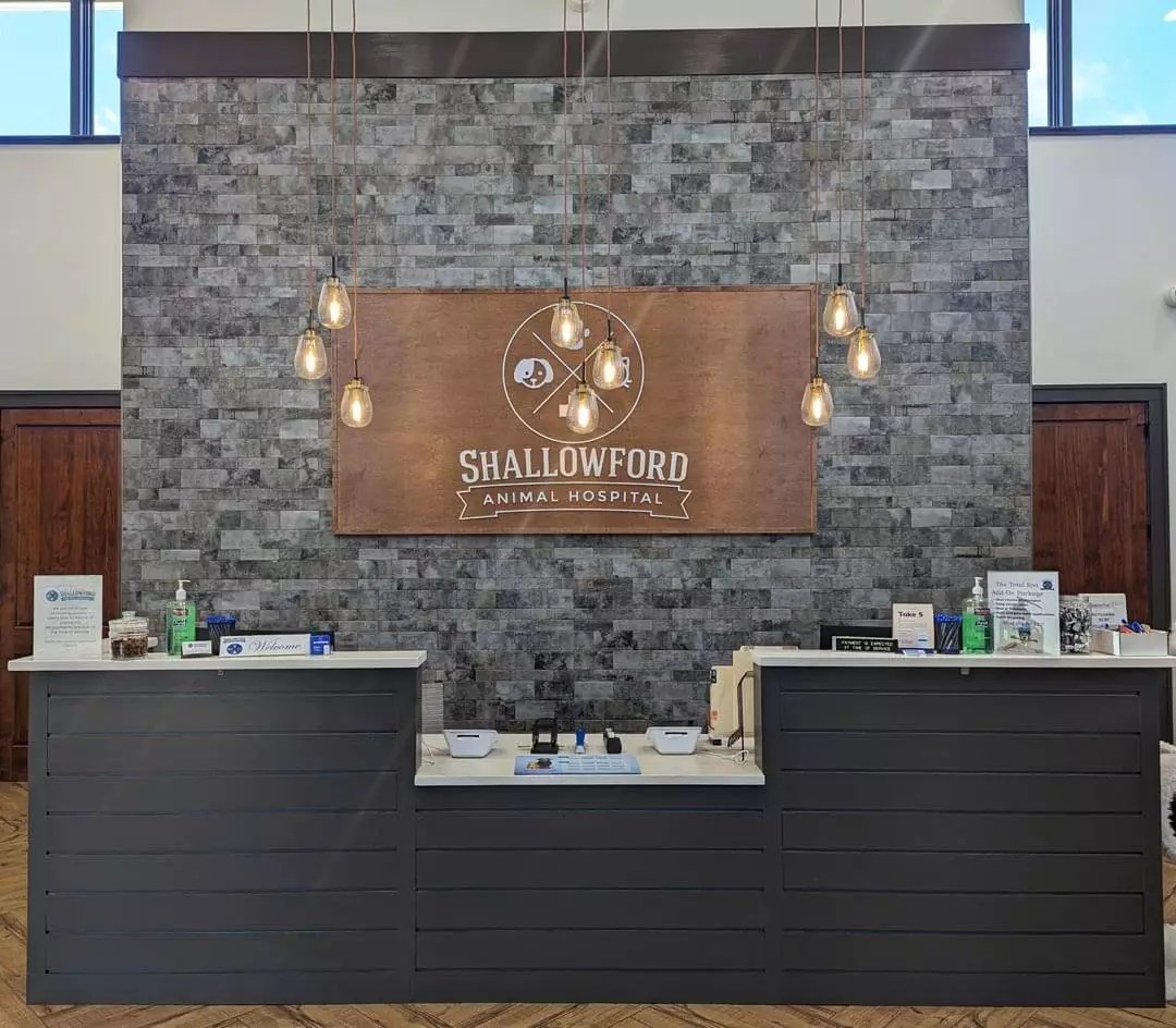 Tour Our Veterinary Clinic in Lewisville, NC Shallowford Animal Hospital