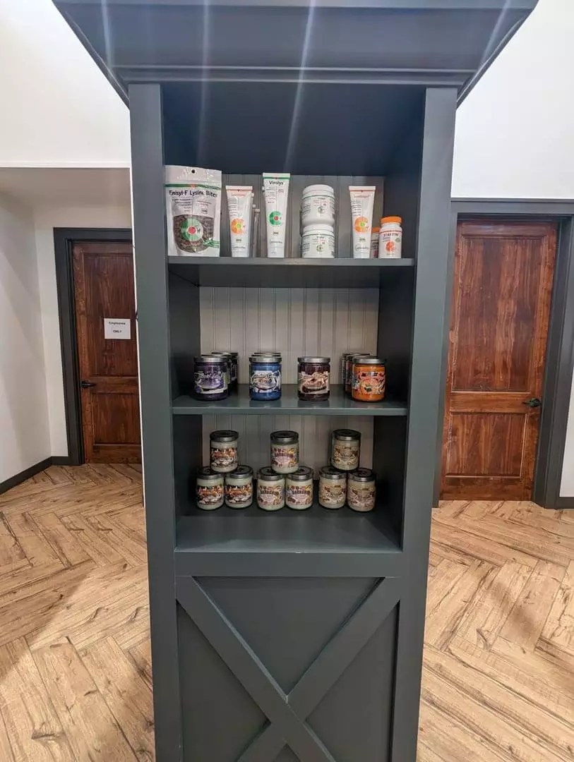 Tour Our Veterinary Clinic in Lewisville, NC Shallowford Animal Hospital