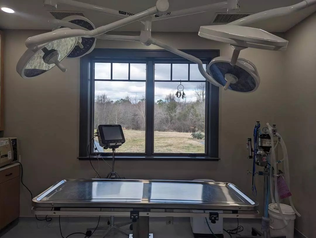 Tour Our Veterinary Clinic in Lewisville, NC Shallowford Animal Hospital