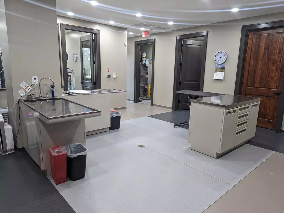 Tour Our Veterinary Clinic in Lewisville, NC Shallowford Animal Hospital