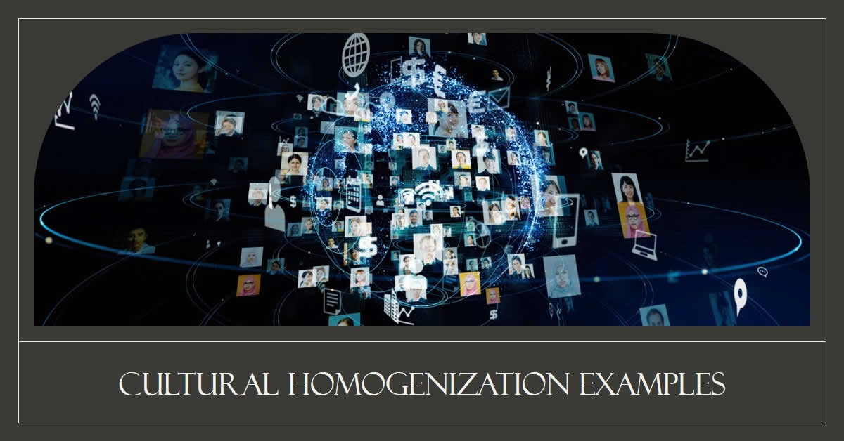 Cultural Homogenization Causes, Effects, and Solutions