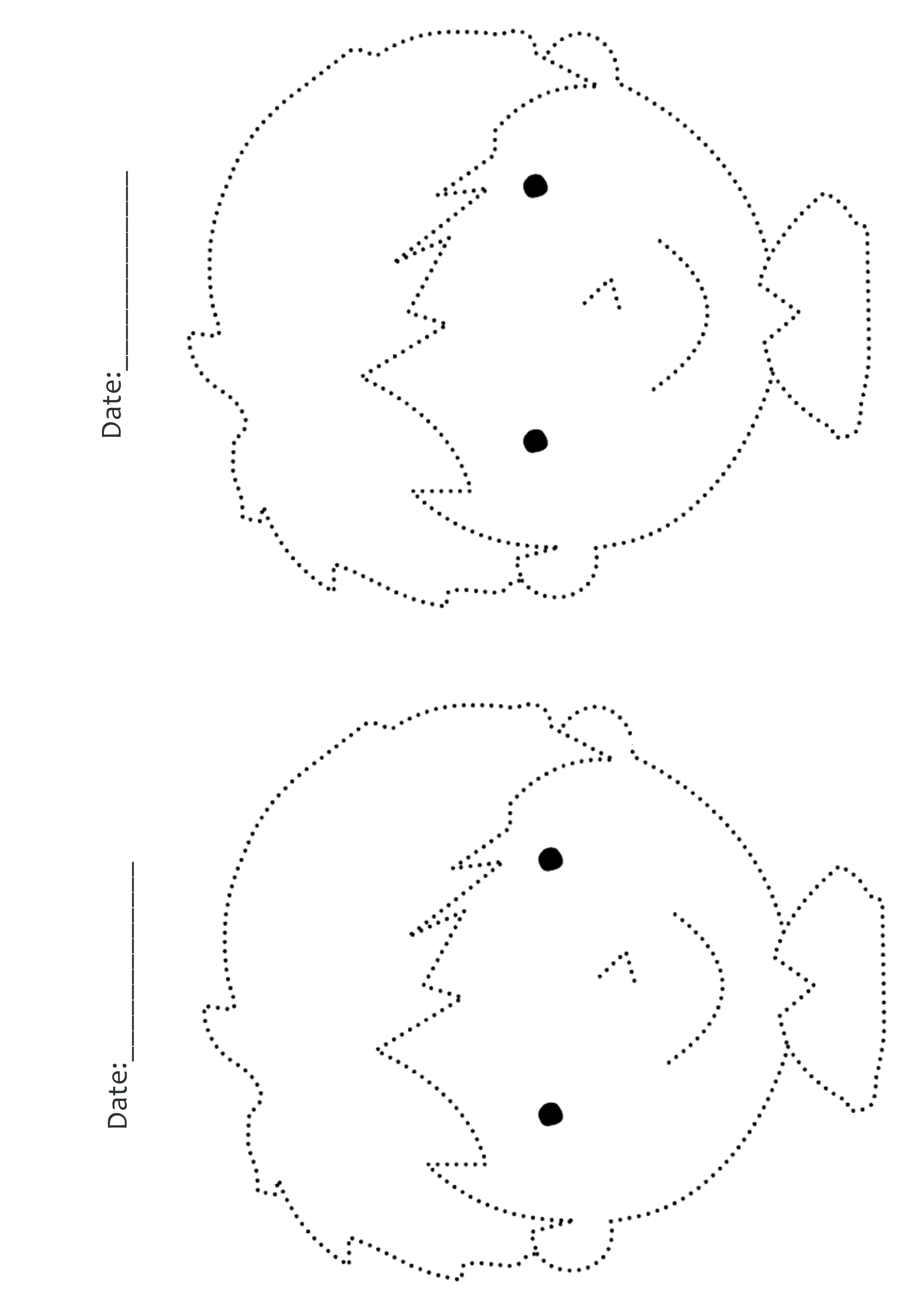 Drawing Worksheets – Drawing Lessons for Kids – JumpStart