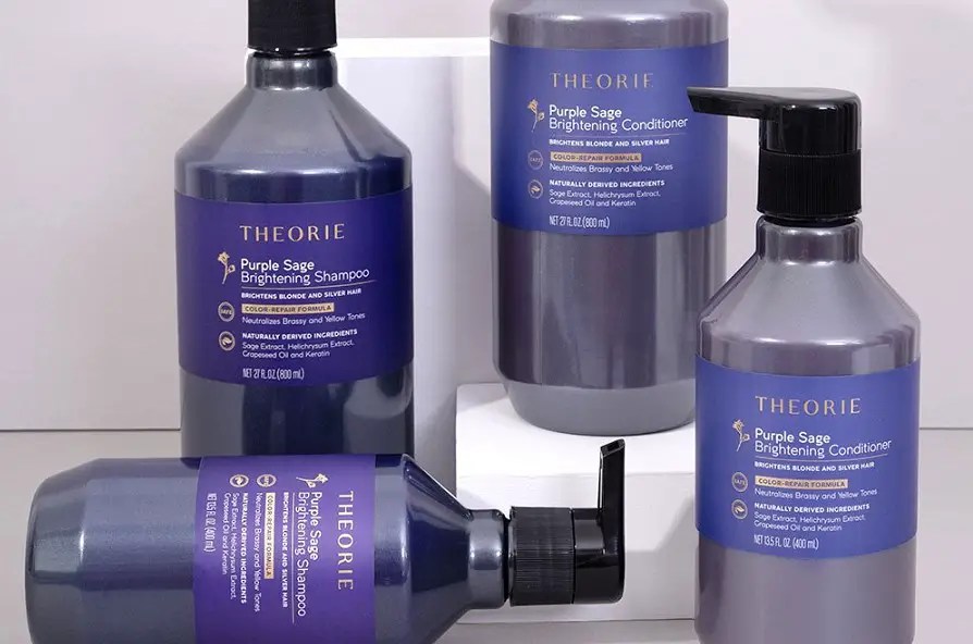 12 Best Conditioner For Gray HairHelpful Guide & Top Review
