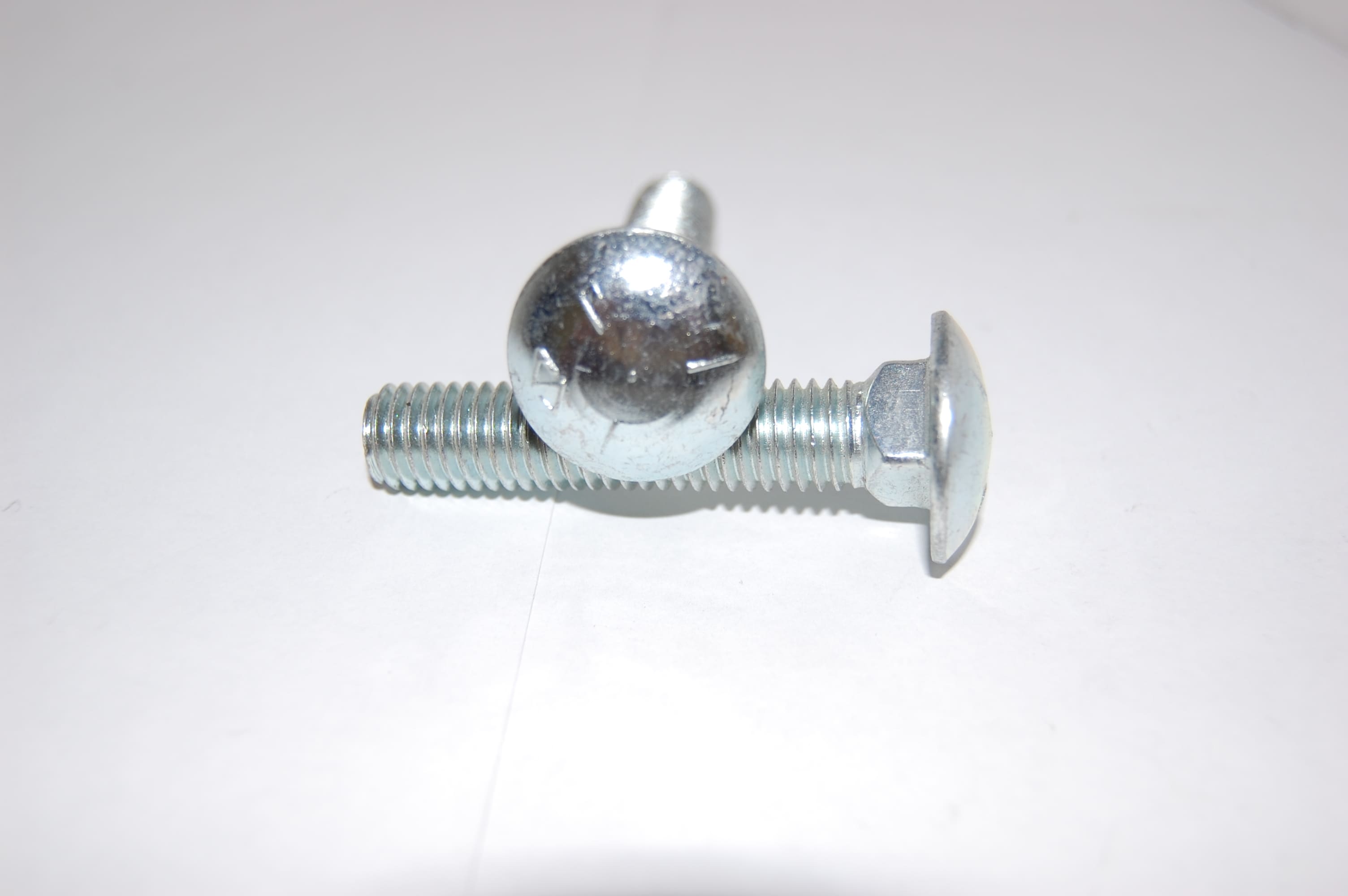 CARRIAGE BOLTS Shamrock Bolt & Screw