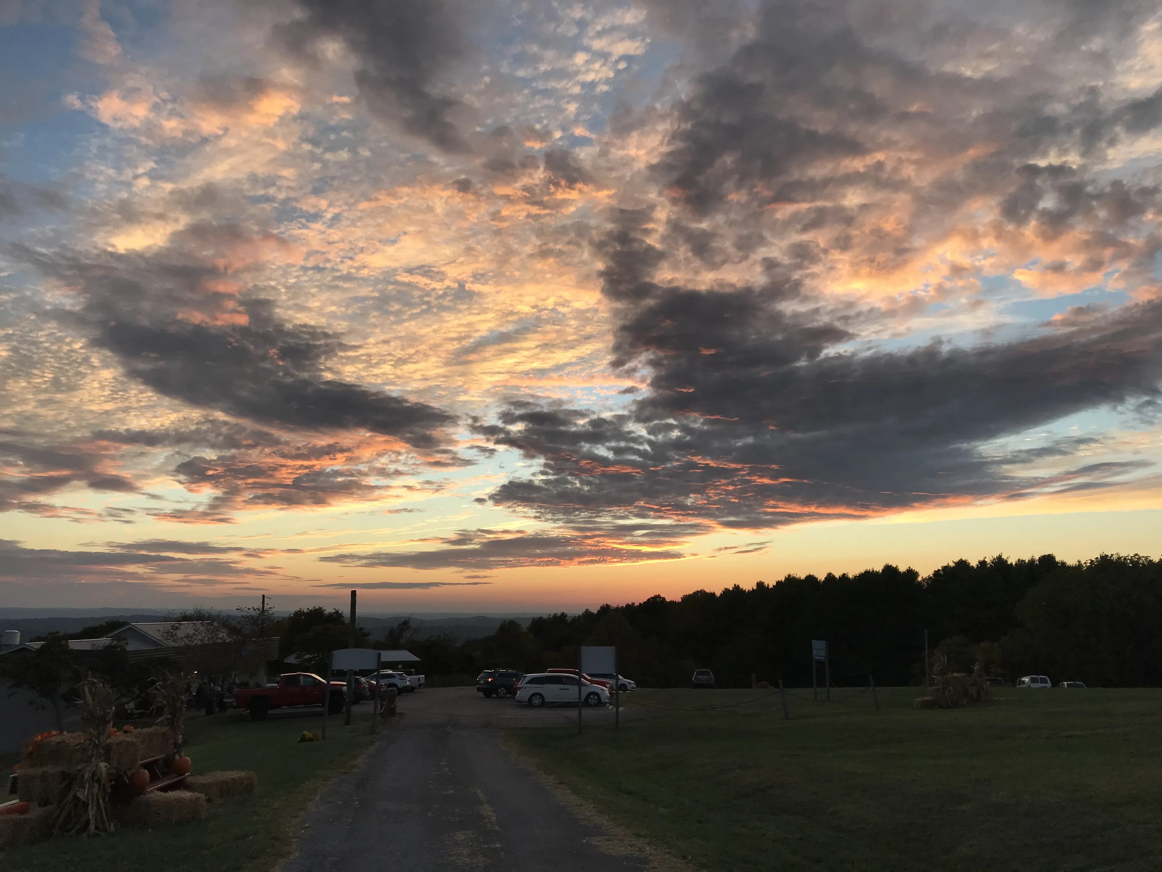 The Cobden Cottage Shane Bruce