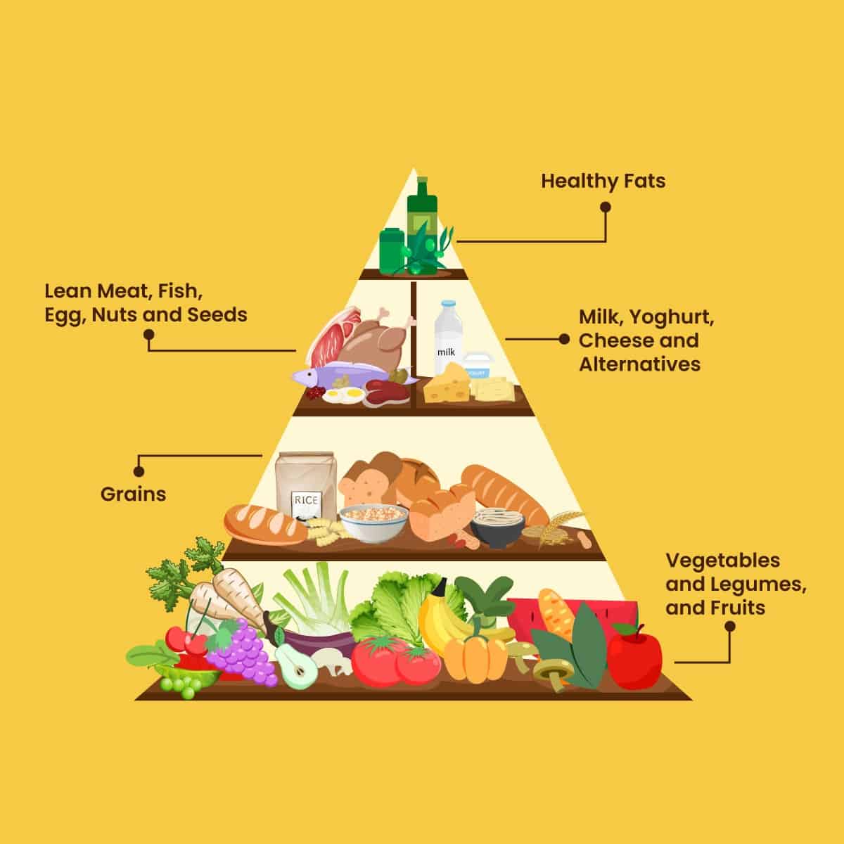 Balance in the 5 Food Groups Shane's Kitchen