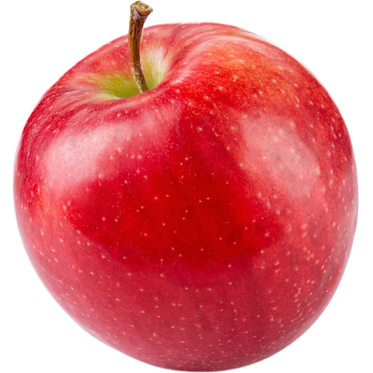 Wholesale Shanesville Fruit Farm