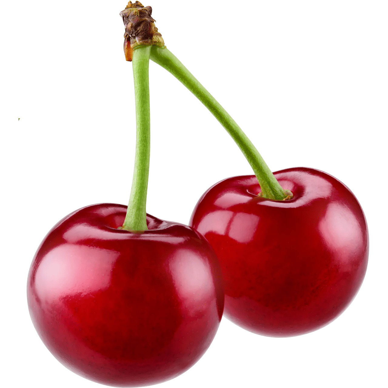 Wholesale Shanesville Fruit Farm