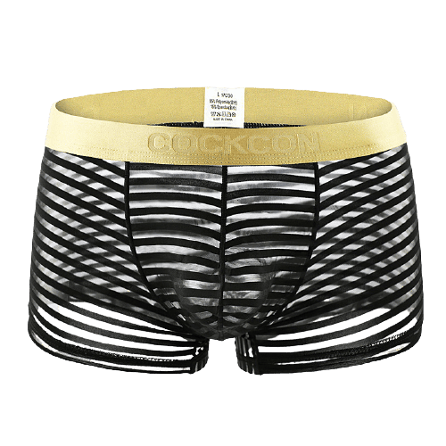 striped transparent men’s fourcorner briefs Shanghai Garment