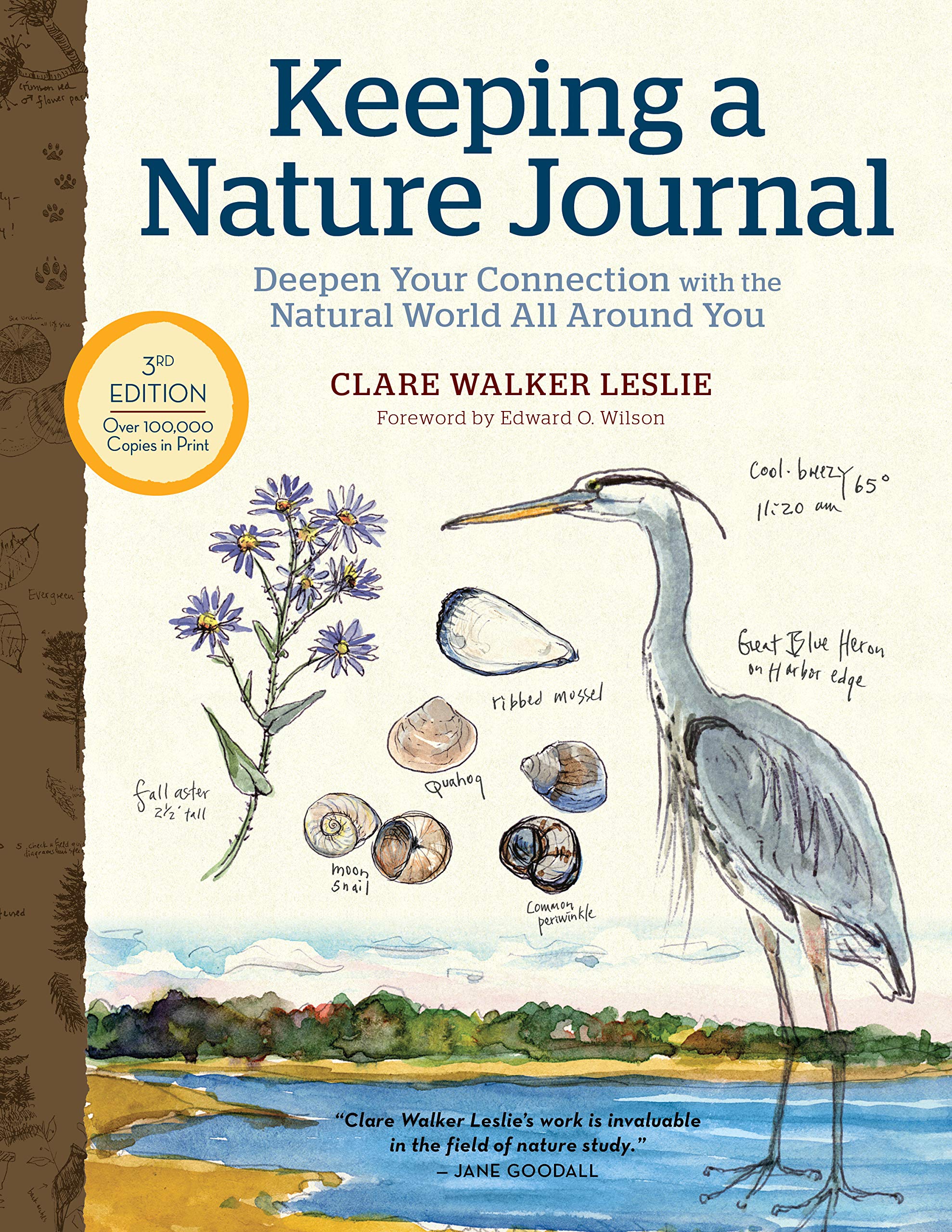 keeping a nature journal book