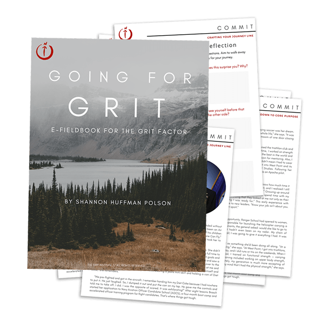 Fieldbooks The Grit Institute