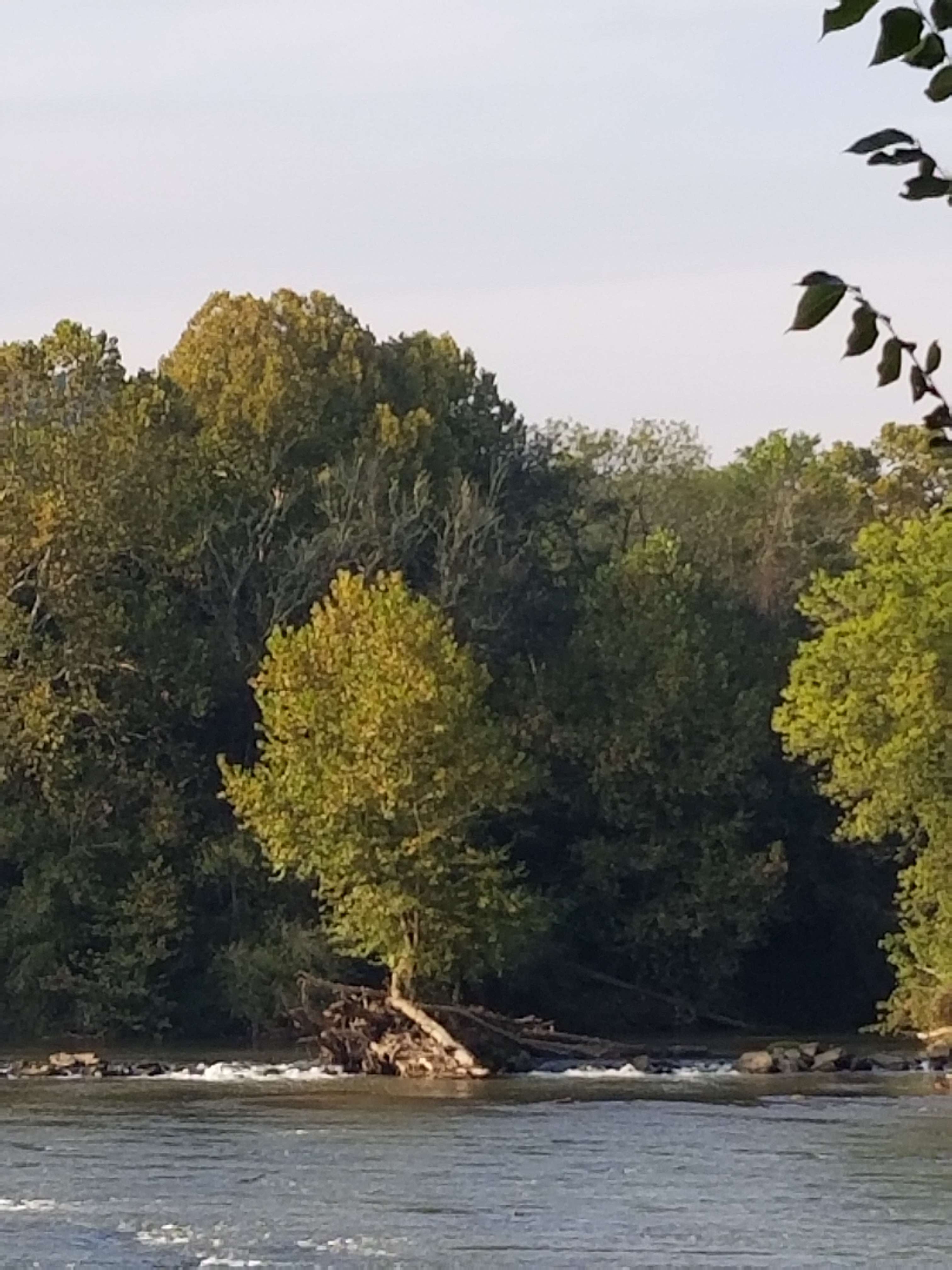 mcintosh fall festival 2023 ga The Incredible McIntosh Fall Festival and Powwow SHANON GREY