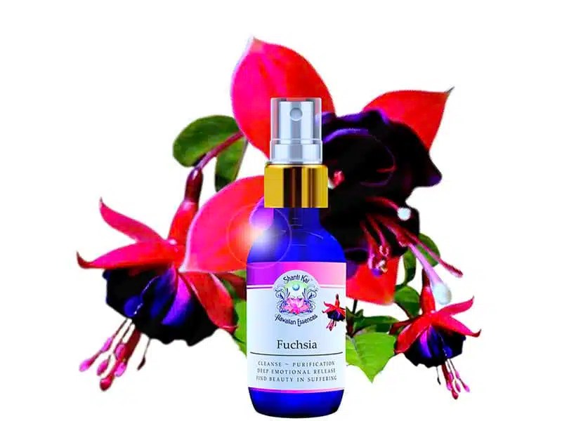 Shanti Kai™ Fuchsia Flower Essence for Deep Emotional Release