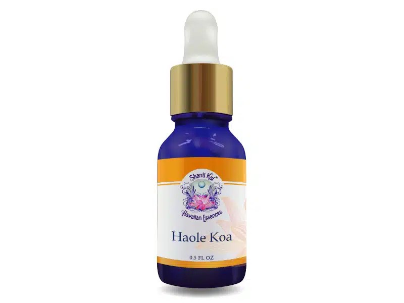 Shanti Kai™️ Haole Koa Flower Essence Adapt & Evolve