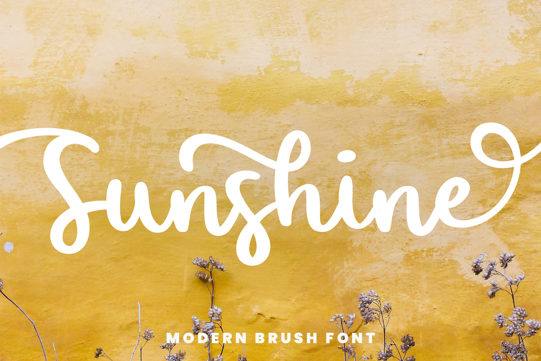 Sunshine a free brush script font I Shaped Fonts