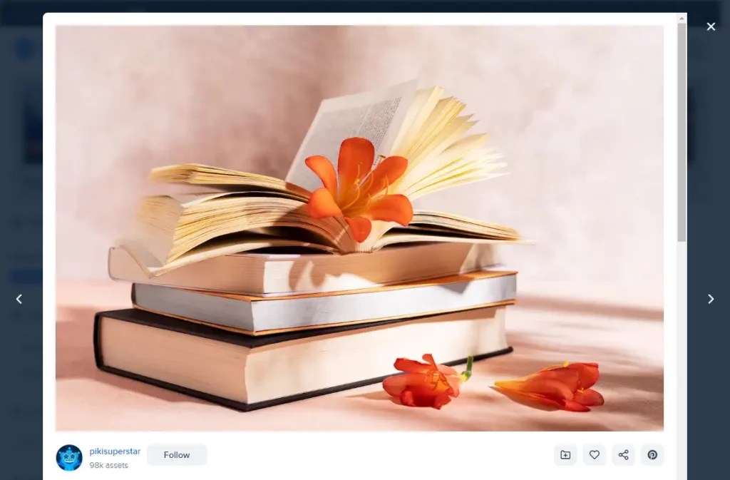 How to Add a WordPress Gallery Lightbox [ 4 Easy Steps ]