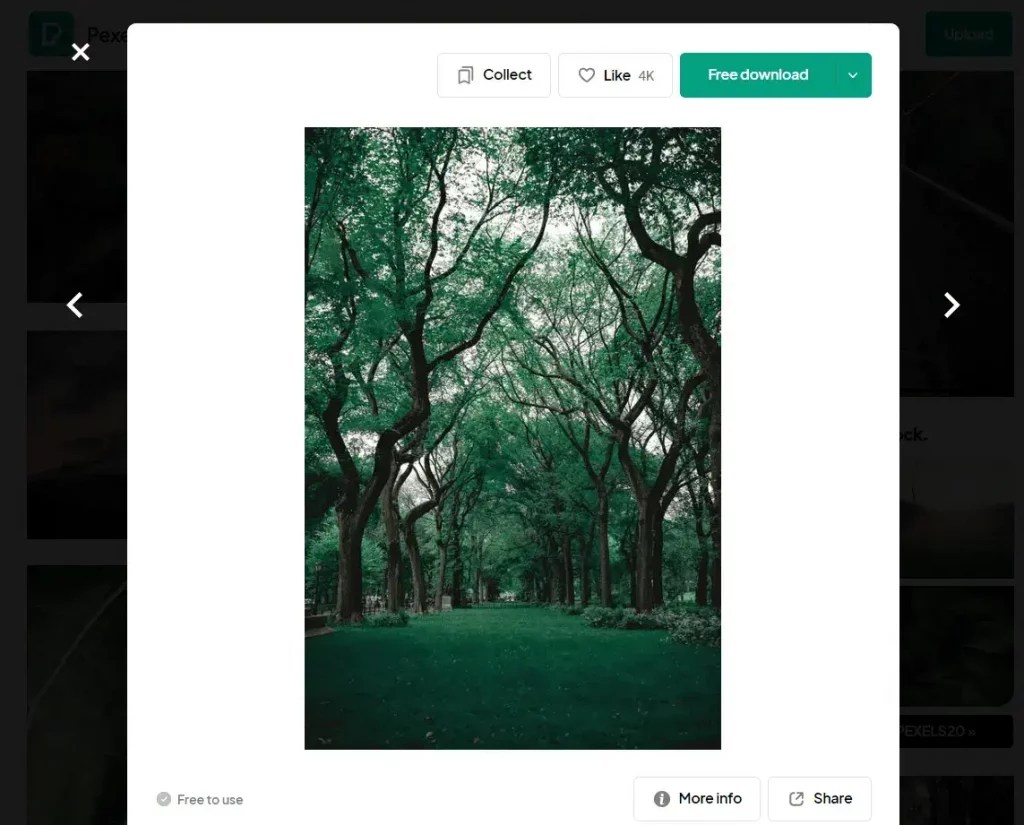 How to Add a WordPress Gallery Lightbox [ 4 Easy Steps ]