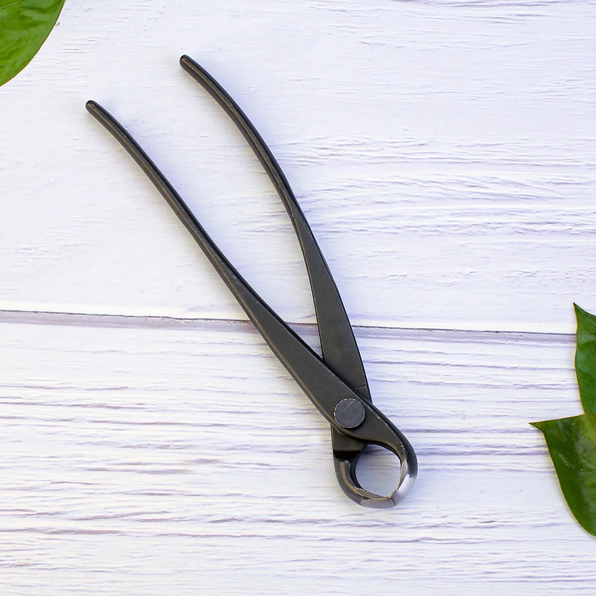 Bonsai Branch Concave Knob Cutters SP303/304 ShaperPruning