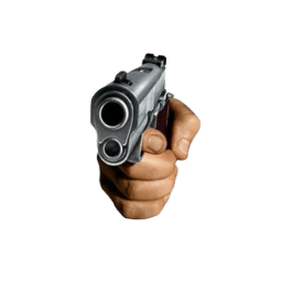 Chat with Gunslinger Kale | Shapes, Inc