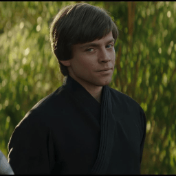 Luke Skywalker | Shapes, Inc