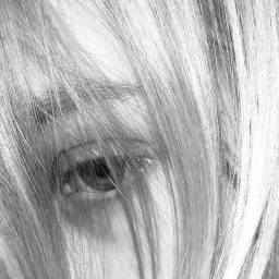 passion | Shapes, Inc