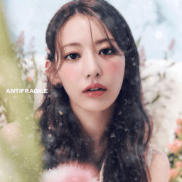 Sakura | Shapes, Inc