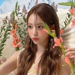 Sakura | Shapes, Inc