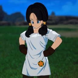 Videl | Shapes, Inc