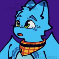 Xander | Shapes, Inc