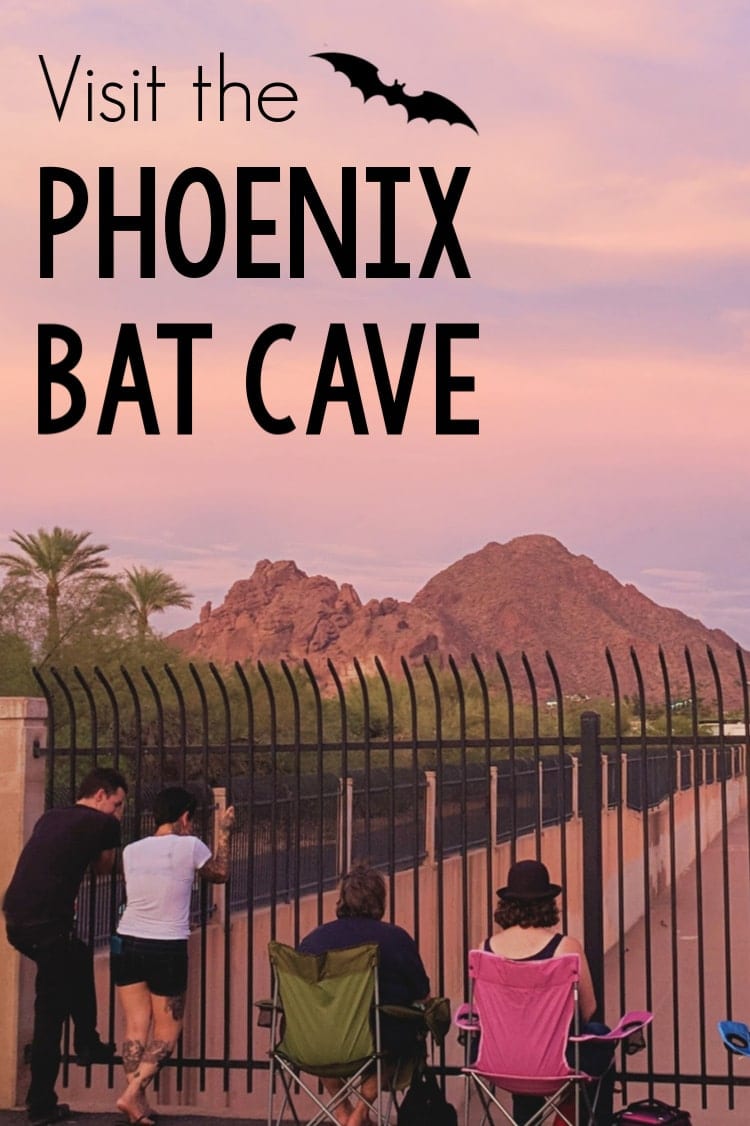 Visiting the Phoenix Bat Cave Shaping Up To Be A Mom