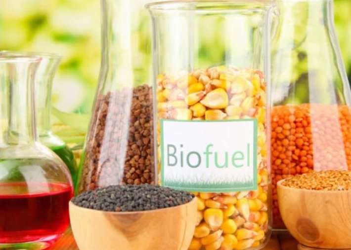 Ecofriendly Alcohol and Ethanol Recycling Shapiro