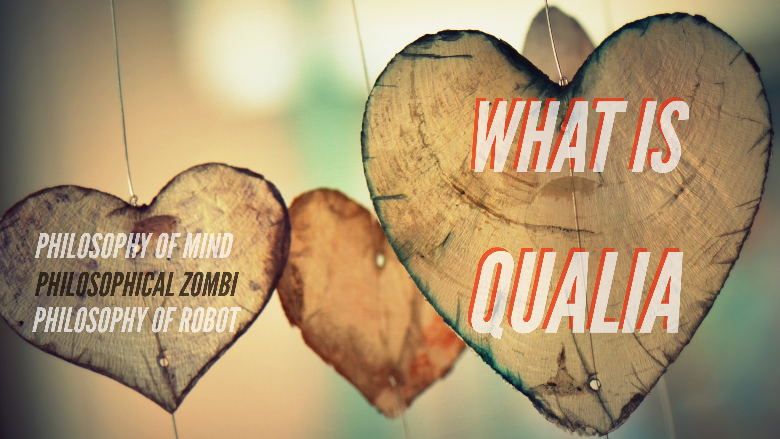 クオリアとは何か？―心の哲学／哲学的ゾンビ／ロボットの哲学 Share Study