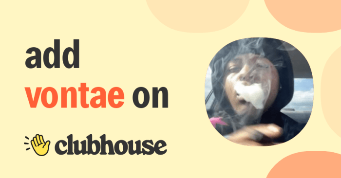 Vonte 1k net worth 2021