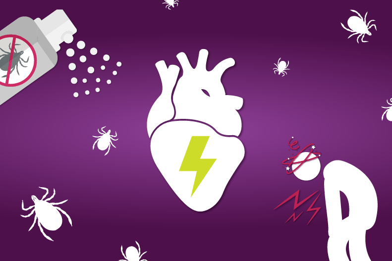 How Does Lyme Disease Affect the Heart UPMC HealthBeat