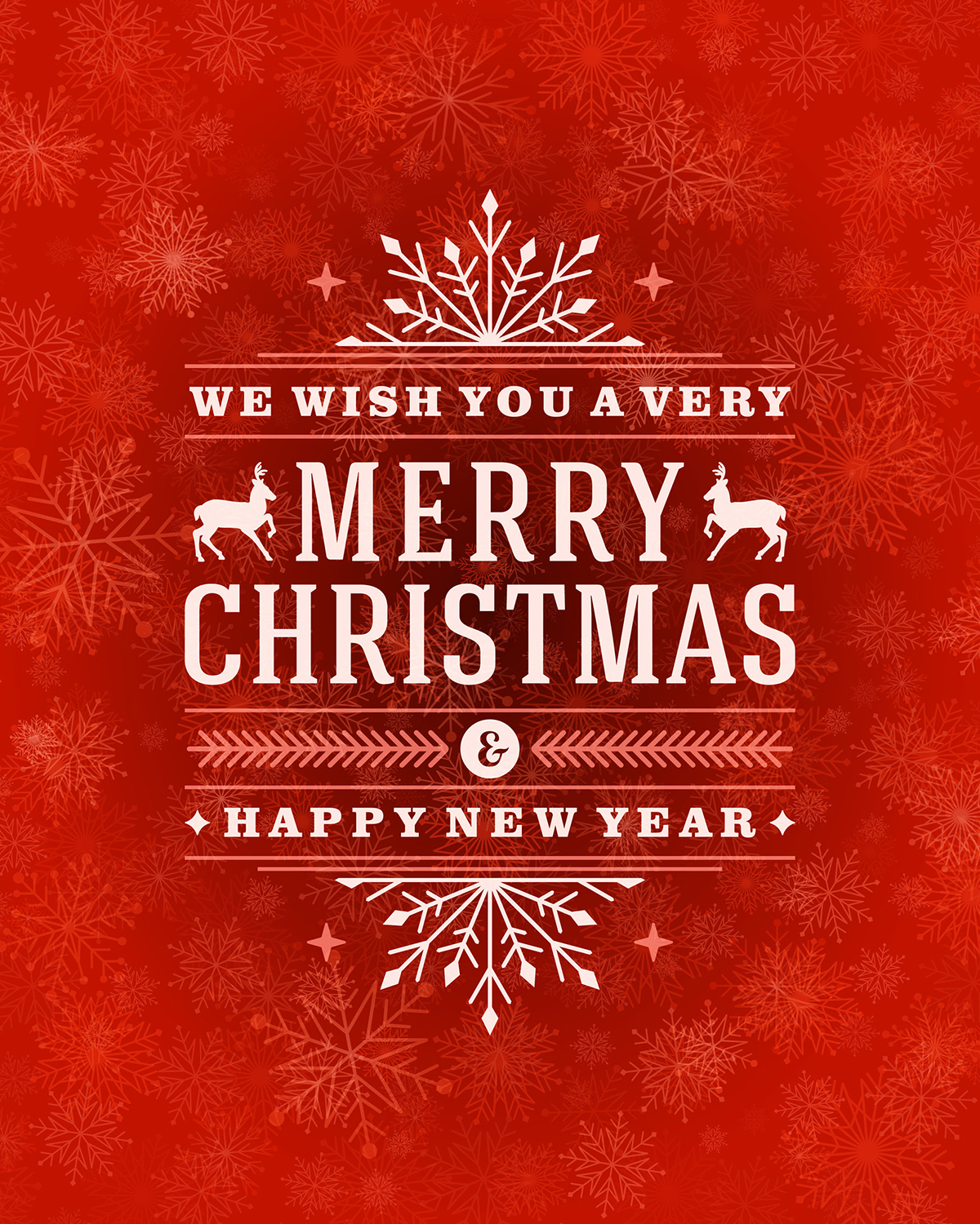 A Very Merry Christmas Wish