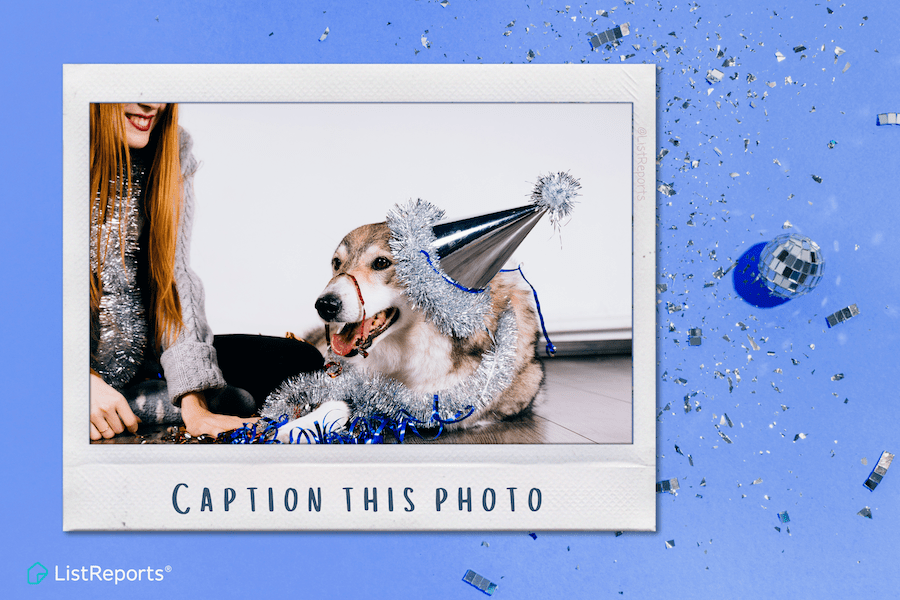 Dandridge Tn Homes for SaleCaption this Photo