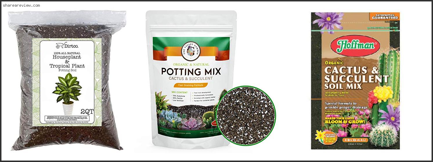 Top 10 Best Potting Soil For Pineapple Plant Reviews & Buying Guide In
