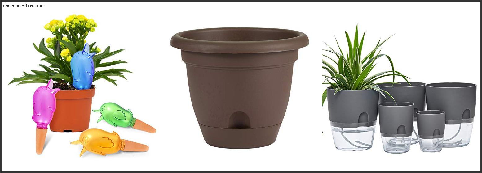 Top 10 Best Plants For Self Watering Pots Reviews & Buying Guide In
