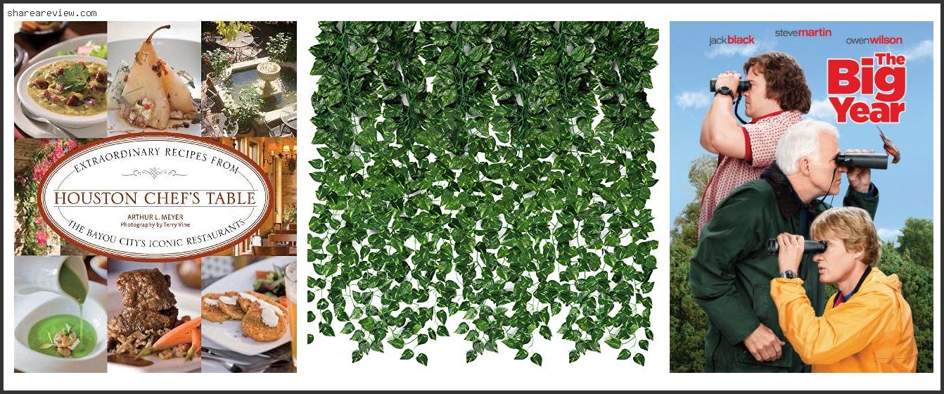 Top 10 Best Vines For Houston Reviews & Buying Guide In 2022