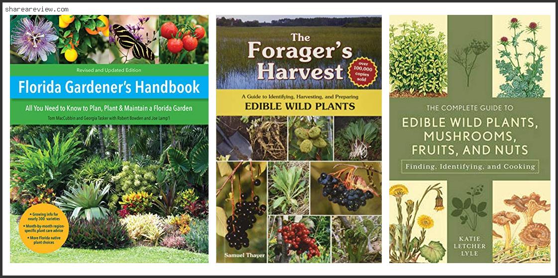 Top 10 Best Herbs To Grow In Florida Reviews & Buying Guide In 2022 To