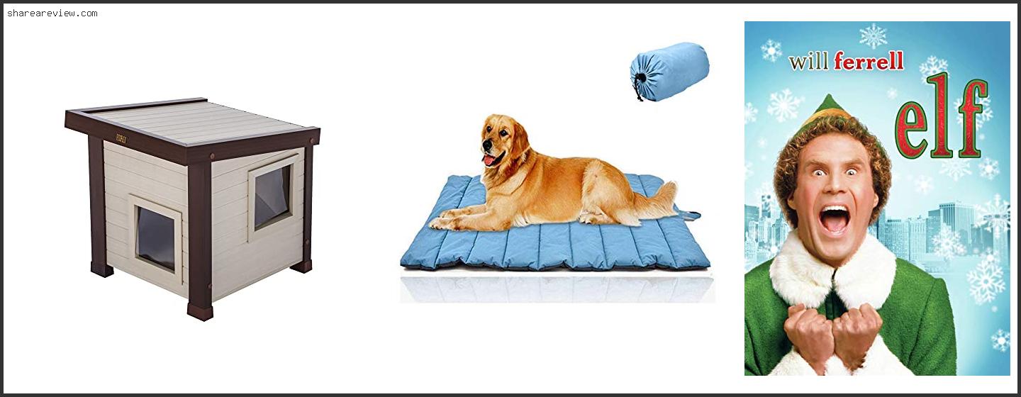 Top 10 Best Bedding For Outdoor Dog House Reviews & Buying Guide In