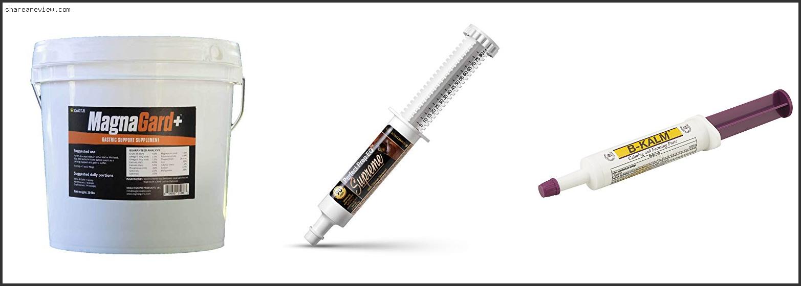 Top 10 Best Calming Paste For Horses Reviews & Buying Guide In 2022