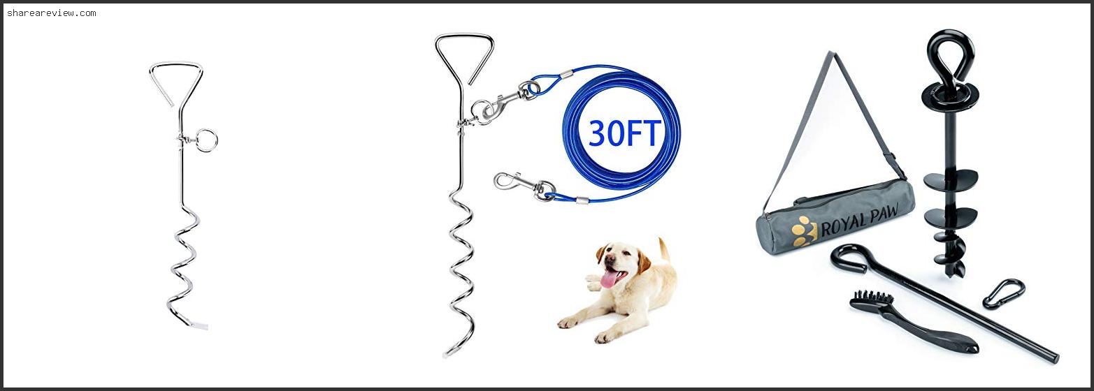 Top 10 Best Dog Tie Out Stake Reviews & Buying Guide In 2022