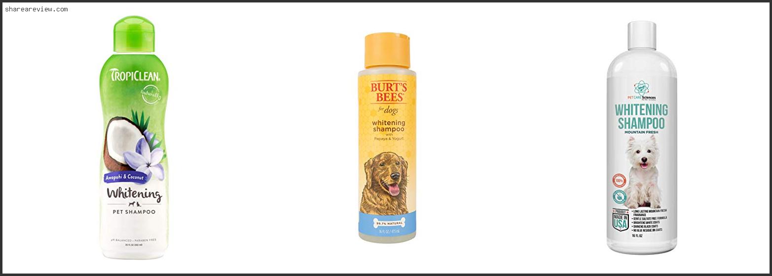 Top 10 Best Dog Shampoo For White Fur Reviews & Buying Guide In 2022 To