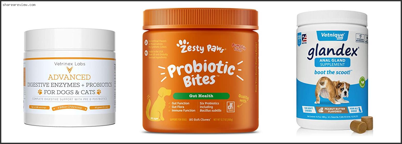 Top 10 Best Poop Eating Deterrent For Dogs Reviews & Buying Guide In