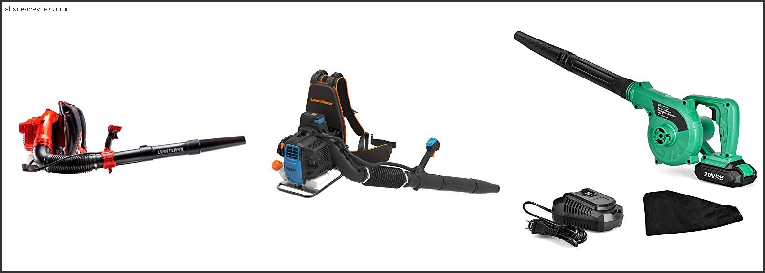 Top 10 Best Commercial Grade Backpack Leaf Blower Reviews & Buying