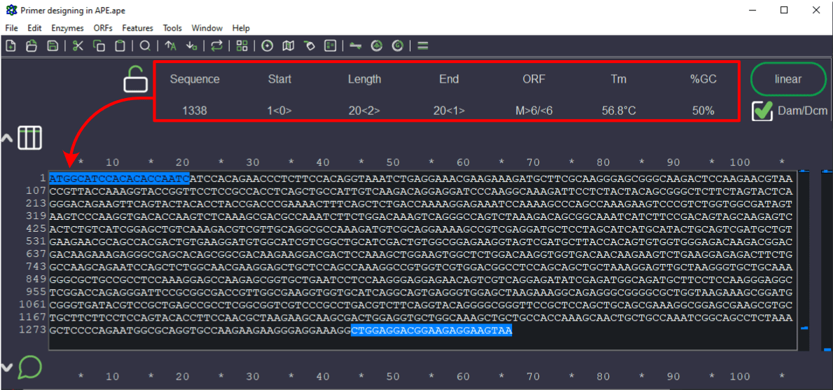 Primer Designing Demonstration step by step Sharebiology