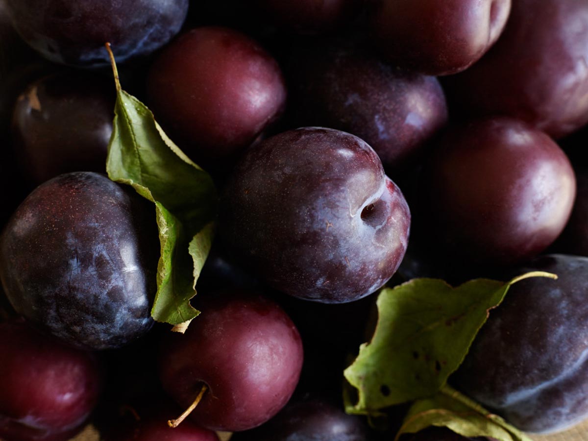 Bestever plum jam Shared Kitchen