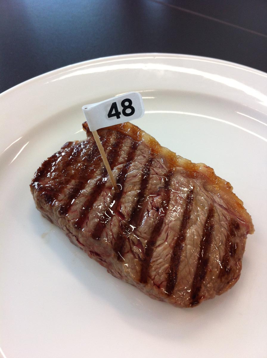 Best sirloin steak in the land Shared Kitchen